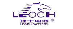 理士国际技术有限公司（理士国际）